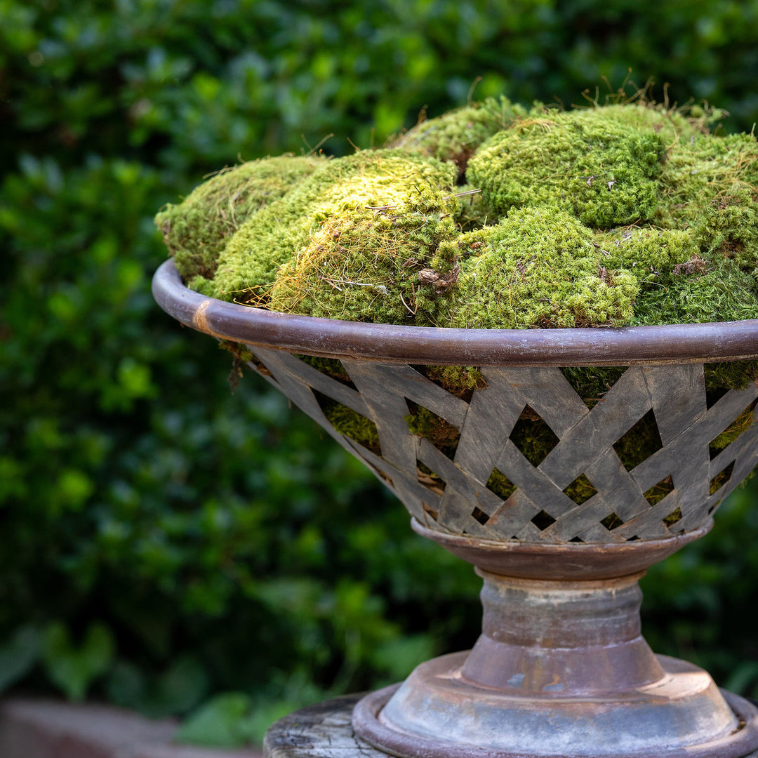 Planter-Woven Metal Footed Bowl