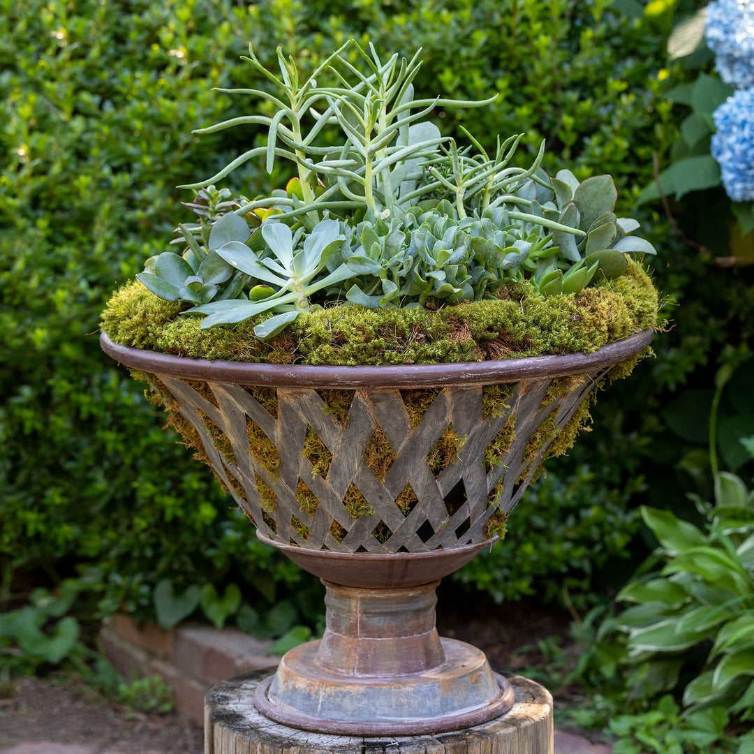 Planter-Woven Metal Footed Bowl