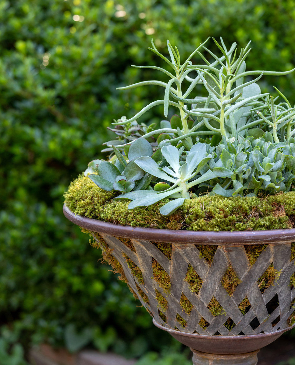 Planter-Woven Metal Footed Bowl