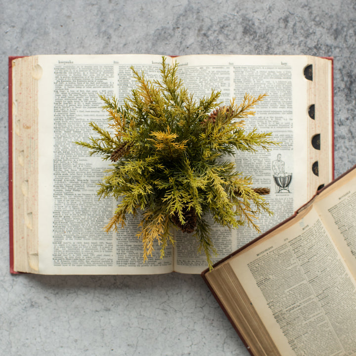 Olive & Wheat Prickly Pine Half Sphere Tablepiece w/ Cones