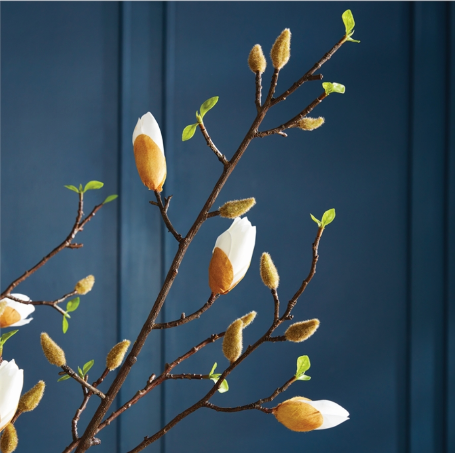 Magnolia Budding Branch