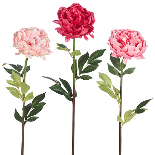 Stem 25" Real Touch Single Peony