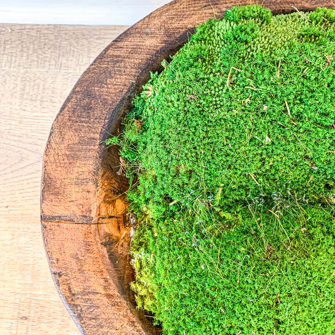 Moss Large Carved Bowl