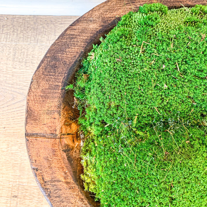 Moss Large Carved Bowl