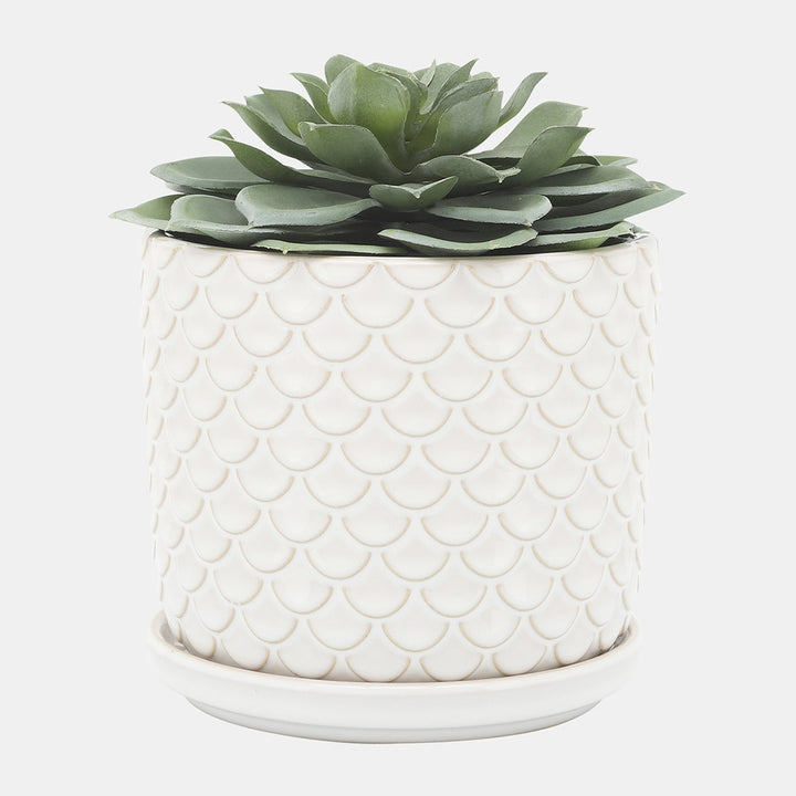 Scaly Planters W/ Saucer, Ivory