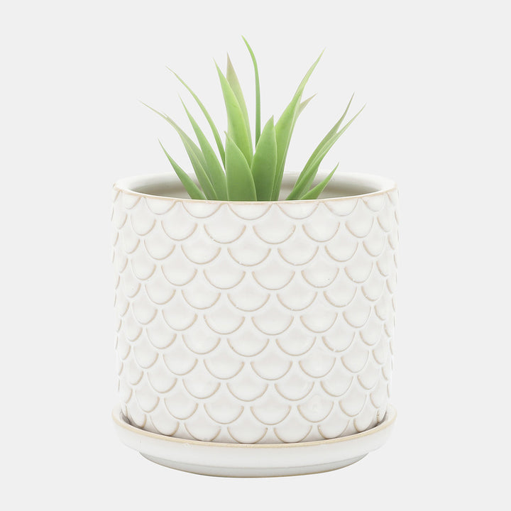 Scaly Planters W/ Saucer, Ivory