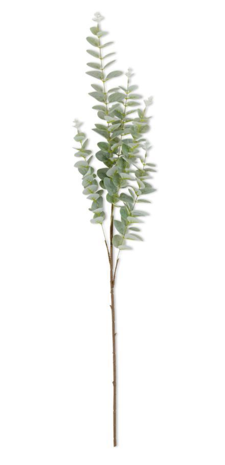 Stem 36" Light Green Gunnii Eucalyptus