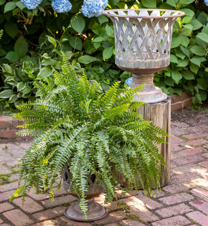 Woven Metal Classic Urn